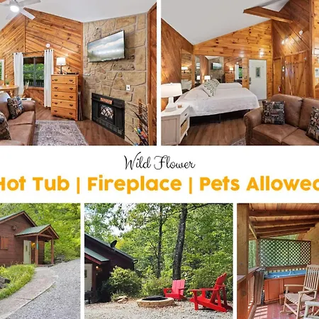 Sevierville Cabin W Mountain Views & Hot Tub